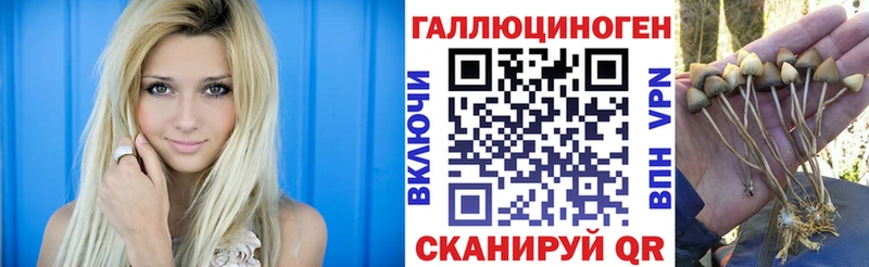 наркотики  Мариинский Посад  мега как зайти  Галлюциногенные грибы мухоморы 